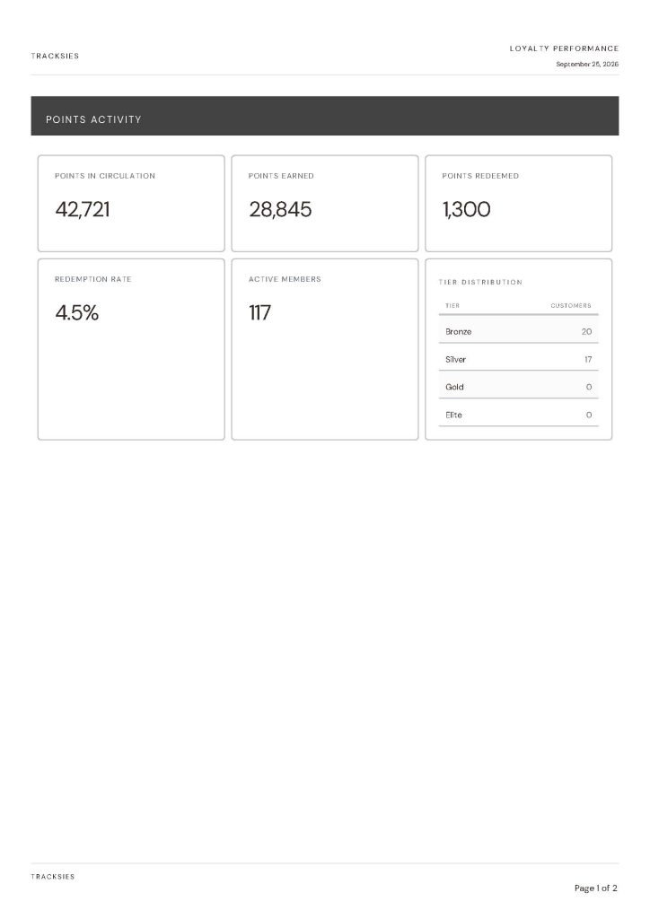 Tracksies loyalty performance dashboard showing points activity metrics